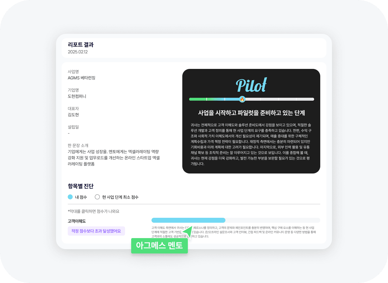 사업진단